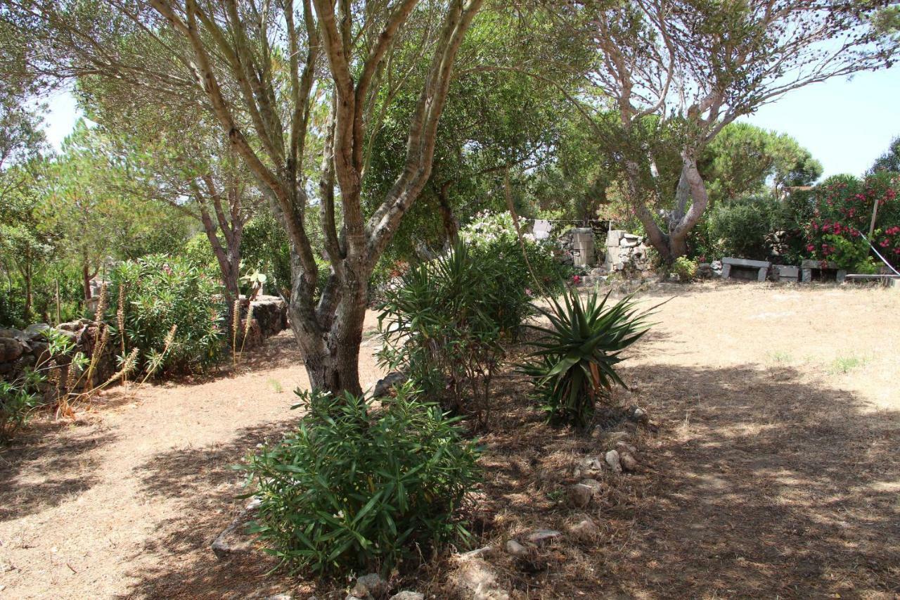 Le 25 Tartarughe Acomodação com café da manhã Santa Teresa Gallura Exterior foto